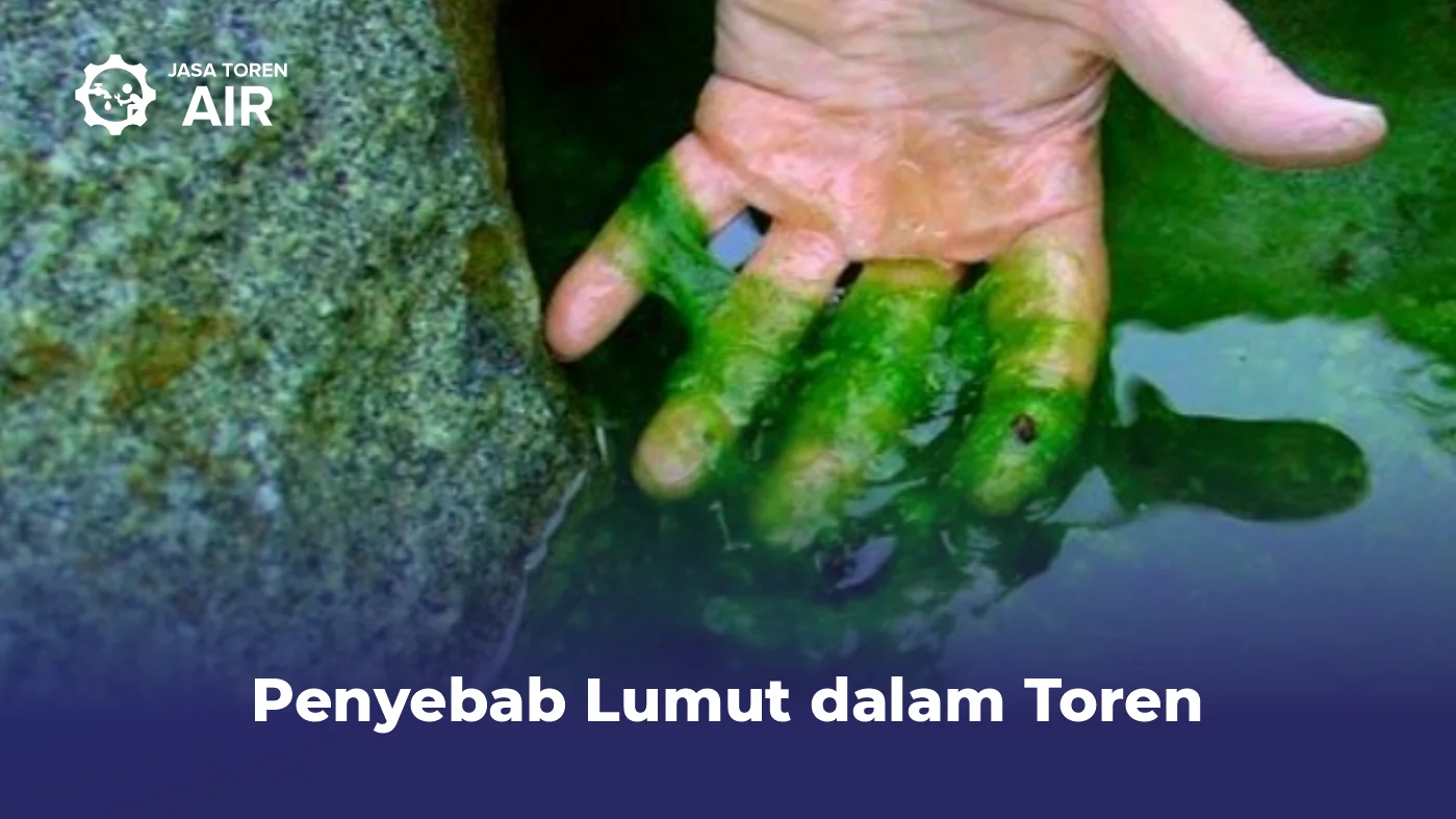 Penyebab Lumut dalam Toren