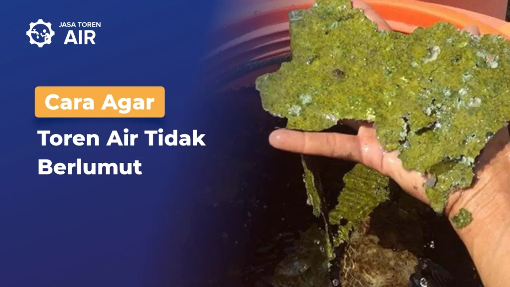 Toren Air Anti Lumut