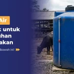 Toren Air Terbaik untuk Kebutuhan Peternakan