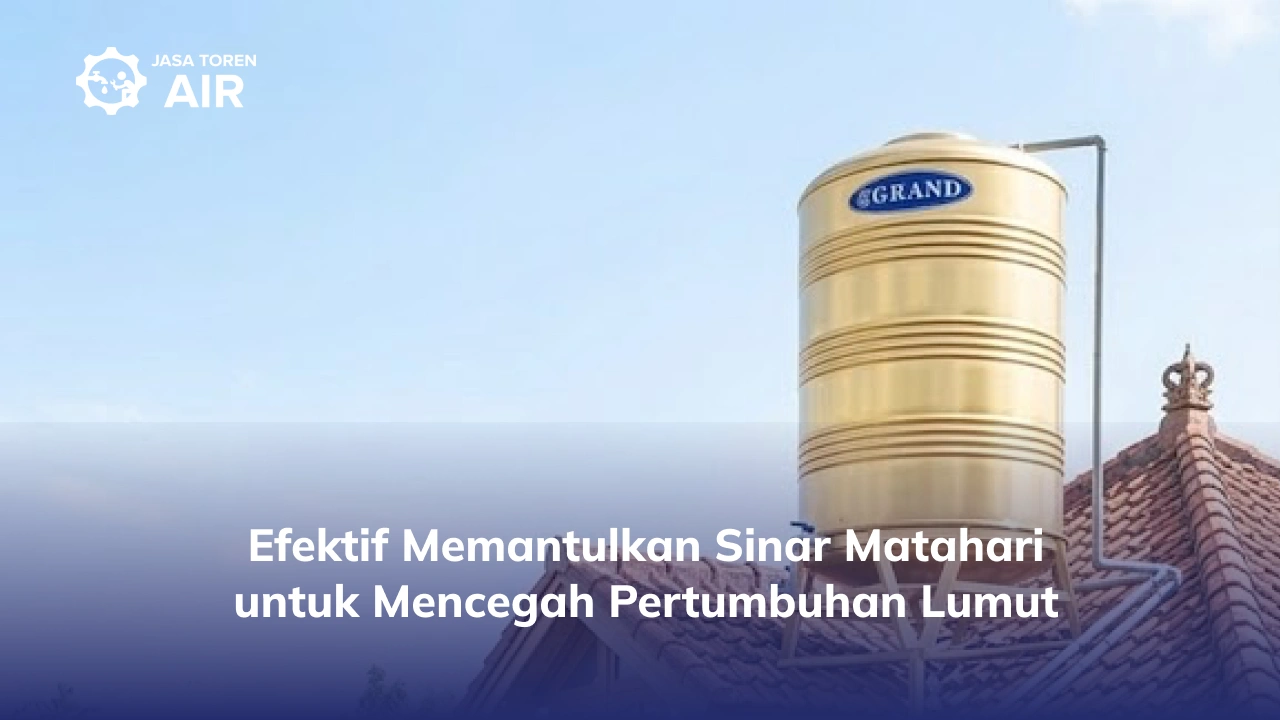 Efektif Memantulkan Sinar Matahari untuk Mencegah Pertumbuhan Lumut