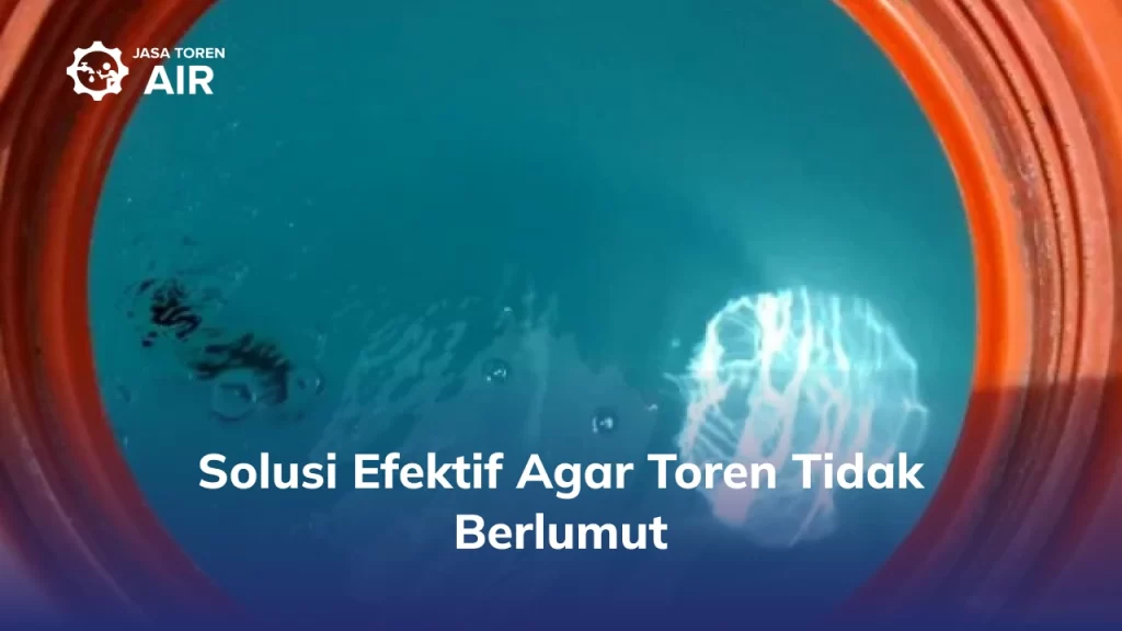 Solusi Efektif Agar Toren Tidak Berlumut